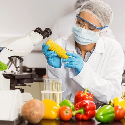 Specialized Certificate: Food Science