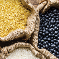ACF Chef's Table Webinar Series: From the Himalayas to Modern American Plates